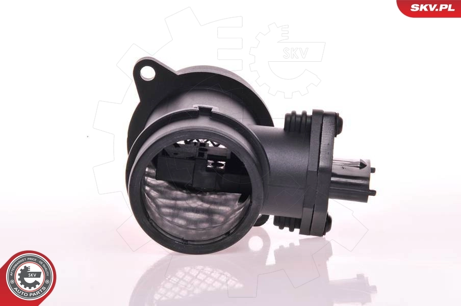 Mass Air Flow Sensor